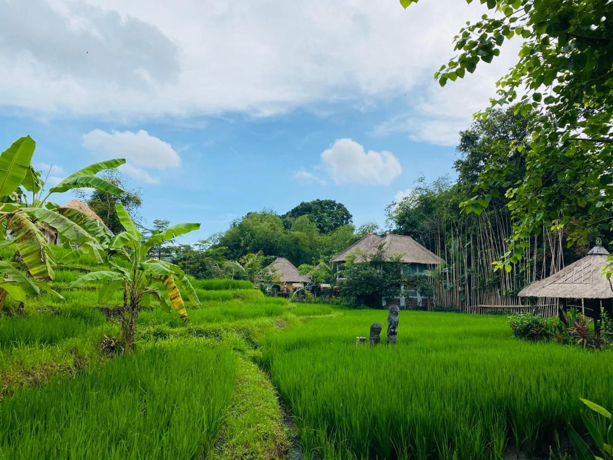 Kts Balinese Villas Canggu Zewnętrze zdjęcie