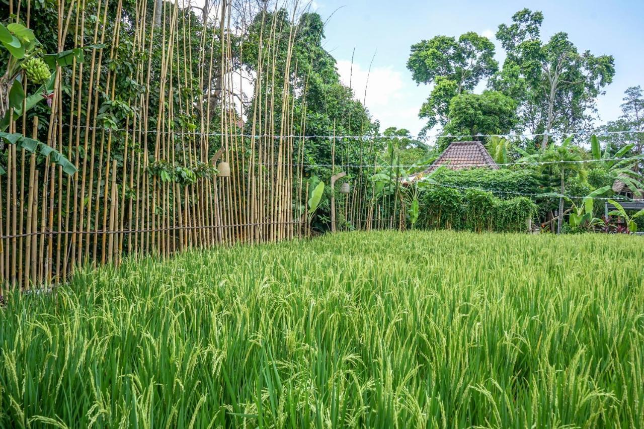 Kts Balinese Villas Canggu Zewnętrze zdjęcie
